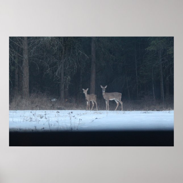 Poster de chevreuils et de faons (Devant)