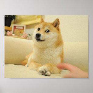 Poster de chien