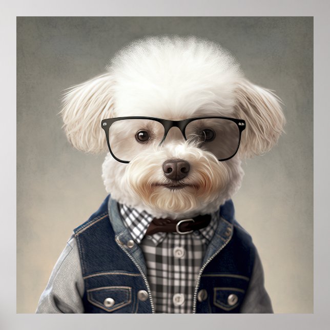 Poster de Chien Hipster de Maltipoa (Devant)