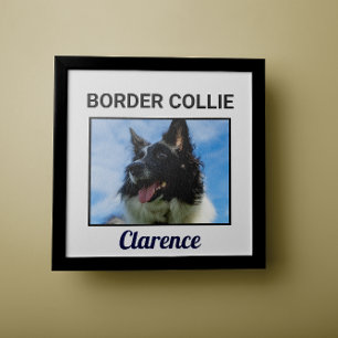 Poster de chien personnalisé Collie Bordure