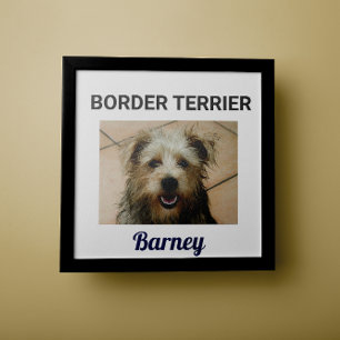 Poster de chien personnalisé de la frontière Terri