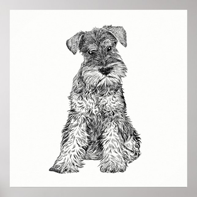 Poster de chien / Schnauzer d'art mural (Devant)