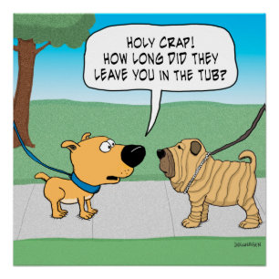 Poster de Chien Shar-Pei Wrinkly