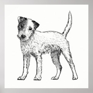 Poster de chien / Wall Art Jack Russell Terrier