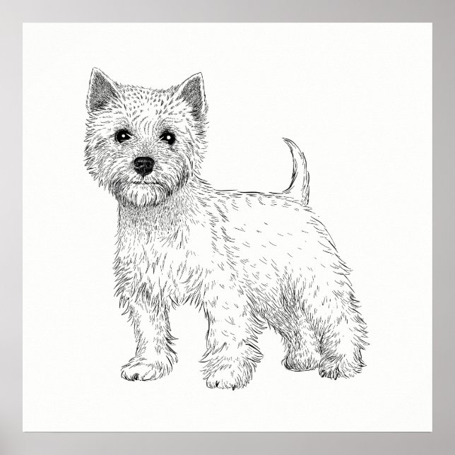 Poster de chien / Wall Art West Highland Terrier (Devant)