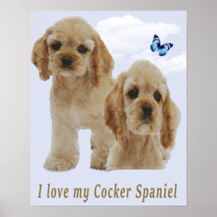 Poster de chiots spaniel Cocker
