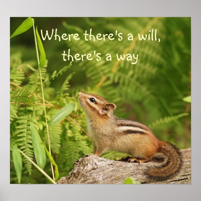 Poster de Chipmunk pour bébé déterminé (Devant)