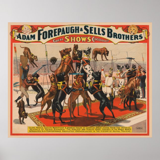 Poster De Cirque Des Grands Danois Avec Entraîneur (Devant)