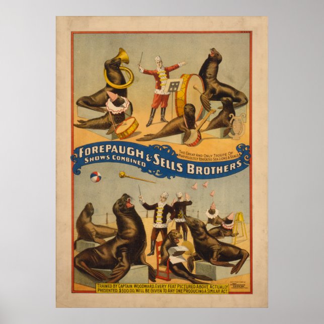Poster de cirque pour phoques en formation - Forep (Devant)