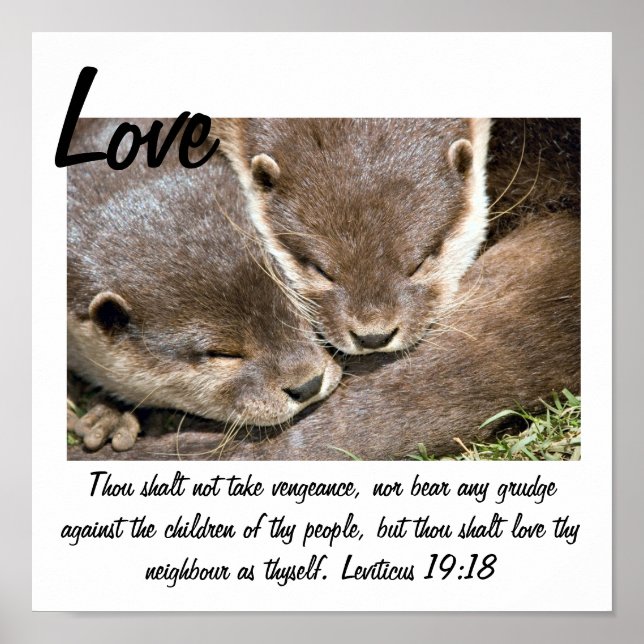 Poster de citation d'amour - Otters Blanc (Devant)