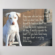 Poster de citation de chien - Erica Jong