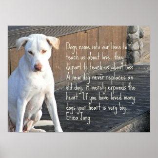 Poster de citation de chien - Erica Jong