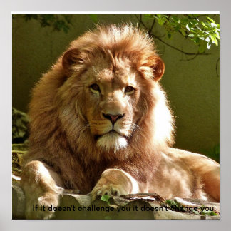 Poster de citation motivante Lion