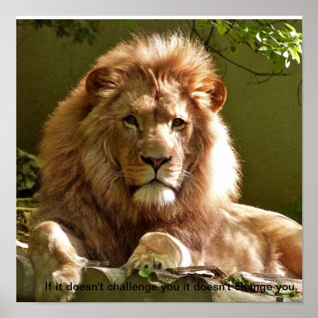 Poster de citation motivante Lion (Devant)