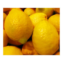 Poster de citrons frais 24 po x 20 po