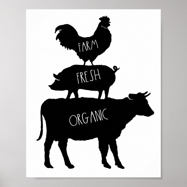 Poster de cochon de cochon de coq frais de ferme (Devant)