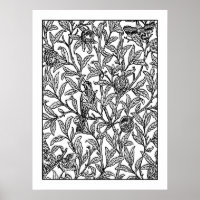 Poster de coloriage pour adultes Morris Bird & Pom