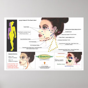 Poster de coquillage