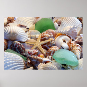 Poster de coquillages, Starfish & Beach Glass