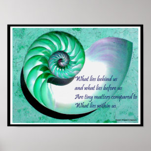 Poster de coquille A01b Nautilus - Citation Inspir