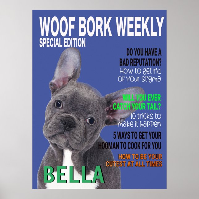 Poster de couverture du magazine Boston Terrier Pa (Devant)