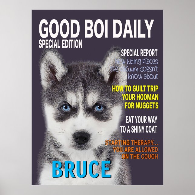 Poster de couverture du magazine Siberian Husky Pa (Devant)