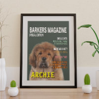 Poster de couverture du magazine Tibétain Mastiff