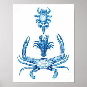 Poster de crabes bleus vintages No.5 Décor de plag