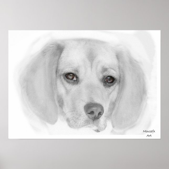 Poster de croquis beagle (Devant)