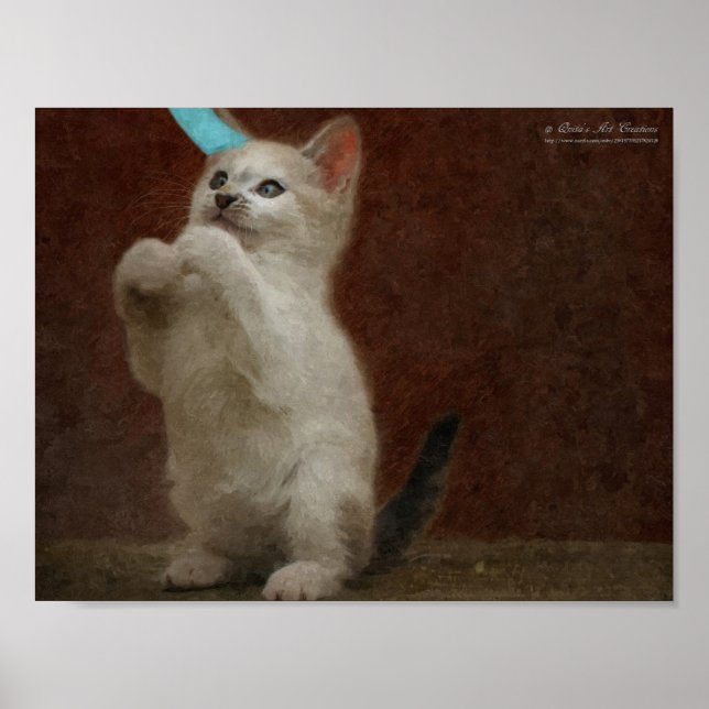 Poster de Cute Kittie (Devant)