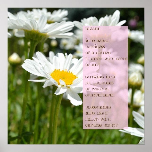 Poster de Daisy Dream (Devant)