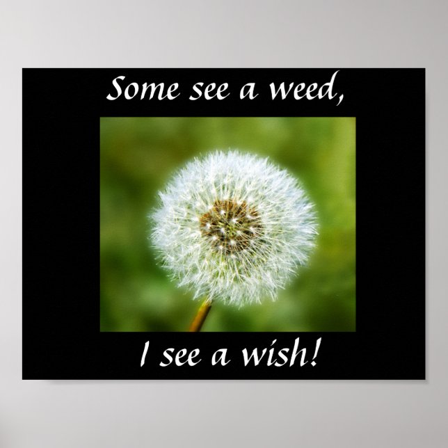 Poster de Dandelion - Certains voient une mauvaise (Devant)