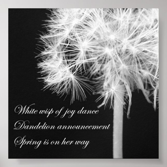 Poster de Dandelion Haiku (Devant)
