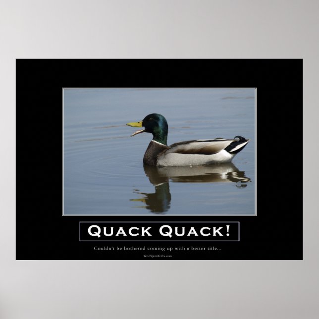 Poster de démonstration du canard-de-Mallard (Devant)