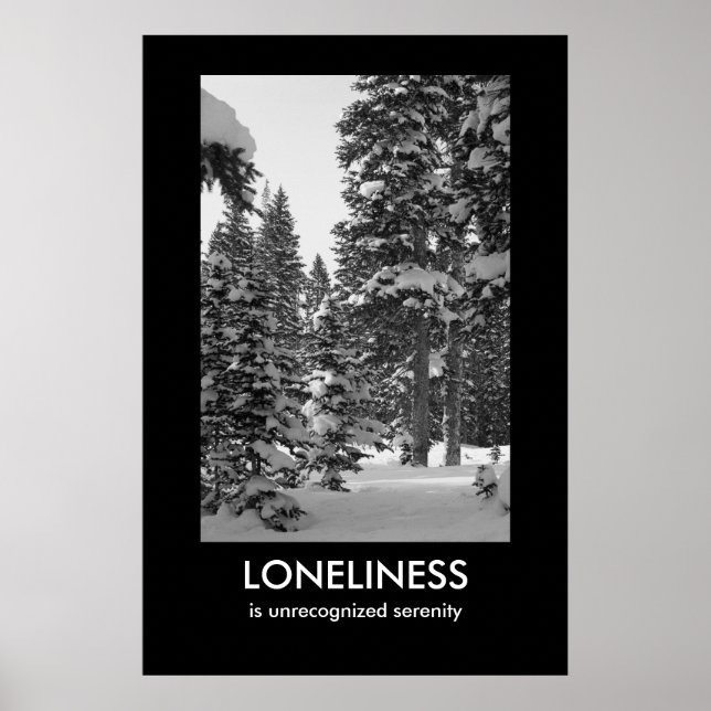 Poster de démotivation de la solitude (Devant)