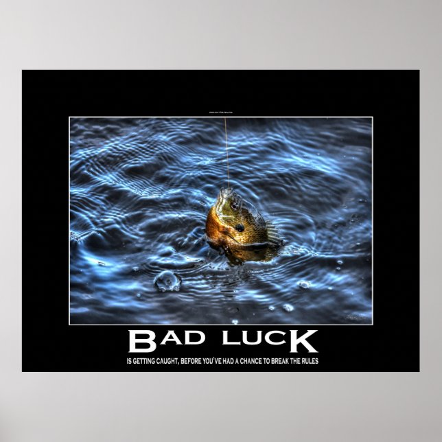 Poster de démotivation du poisson-soleil de Bluegi (Devant)