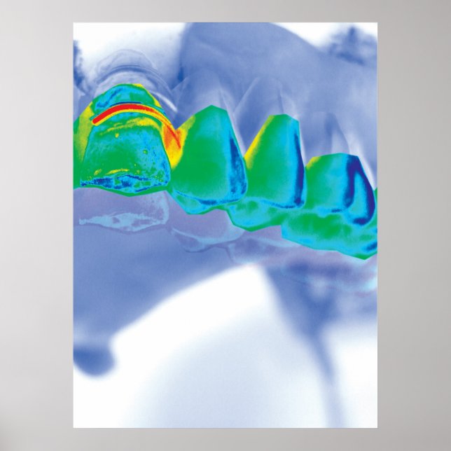 Poster de Dentist Orthodontist (Devant)