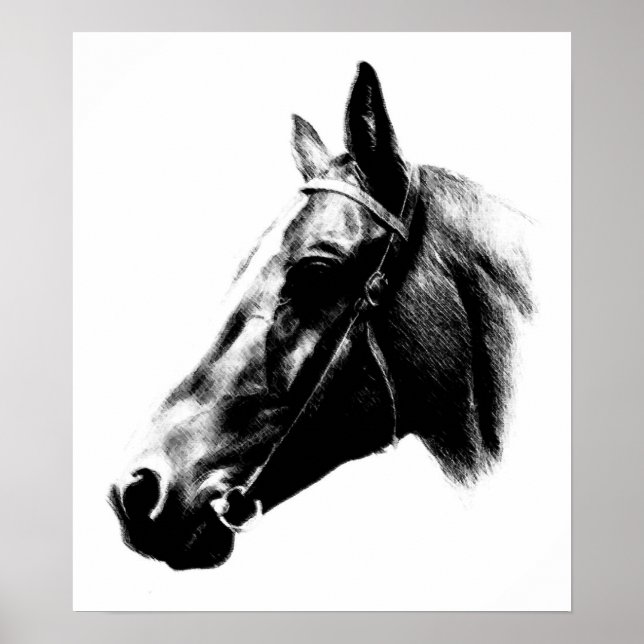 Poster de dessin Cheval Blanc Noir (Devant)