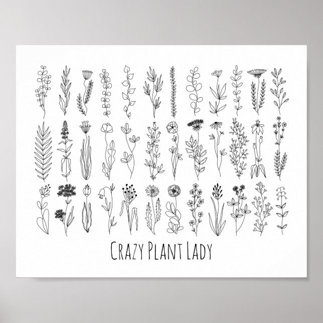 Poster De Dessin De Fleurs Et Herbes D'Encre (Devant)