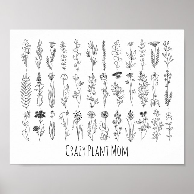 Poster De Dessin De Fleurs Et Herbes D'Encre (Devant)