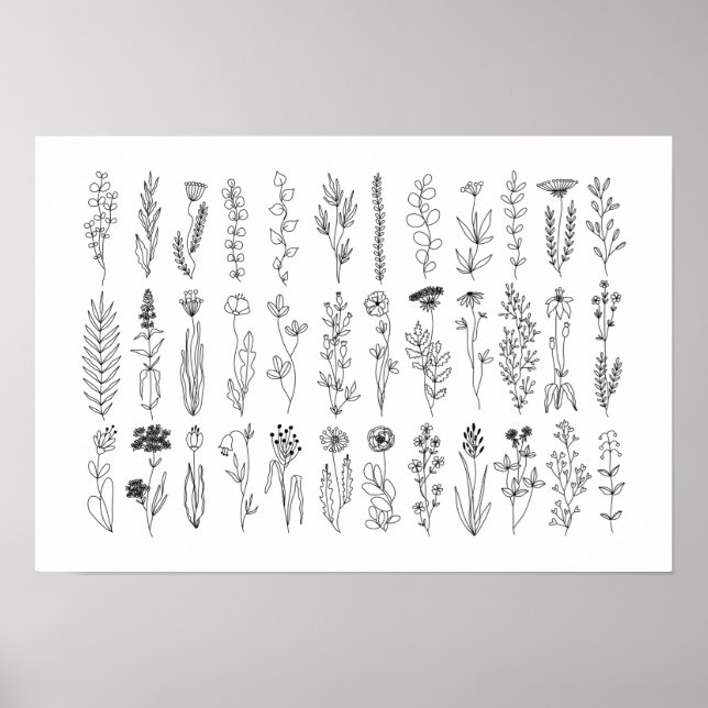 Poster De Dessin De Fleurs Et Herbes D'Encre (Devant)
