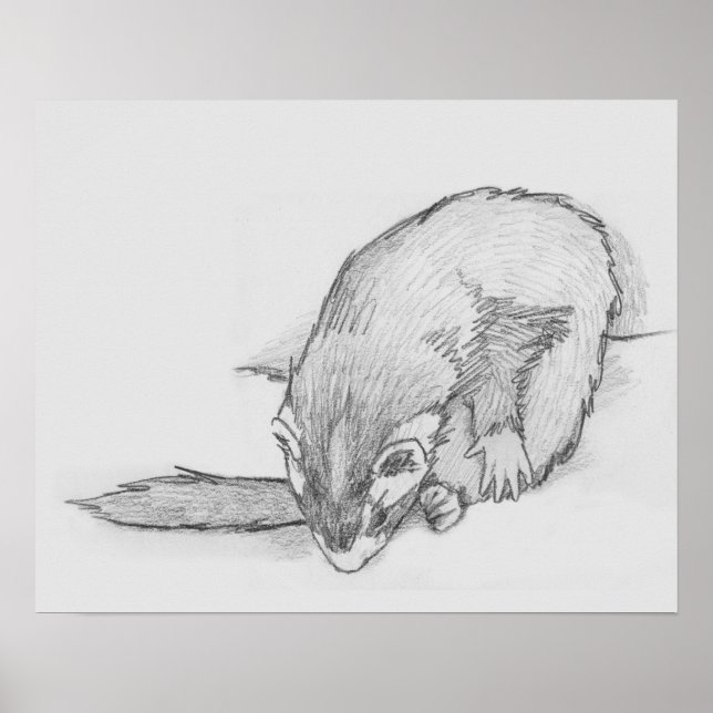 Poster de dessin Ferret Wheel (Devant)