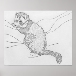 Poster de dessin "Grouch" Ferret