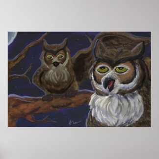 Poster de deux chouettes de nuit
