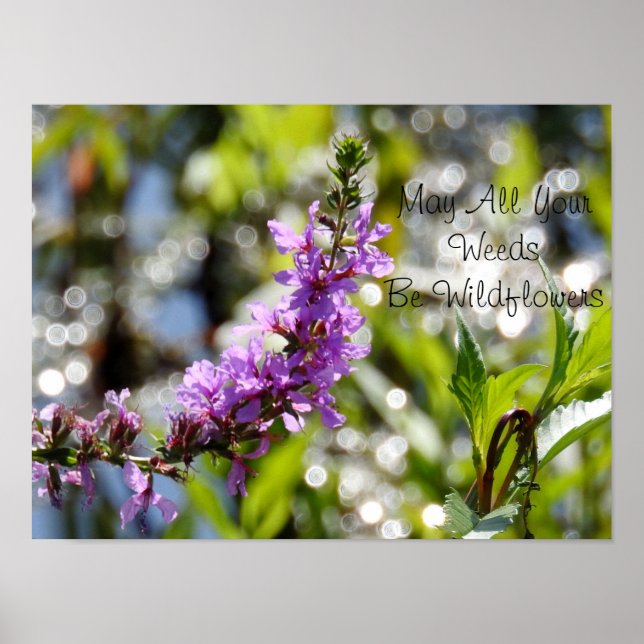 Poster de devis Fleur sauvage violet (Devant)