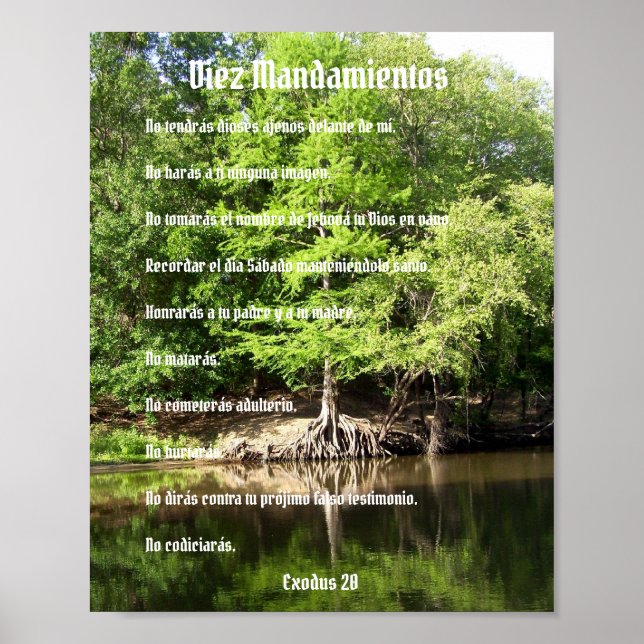 Poster de Diez Mandamientos - Ciprés en el Pantano (Devant)