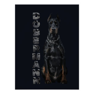 Poster de Doberman Pinscher