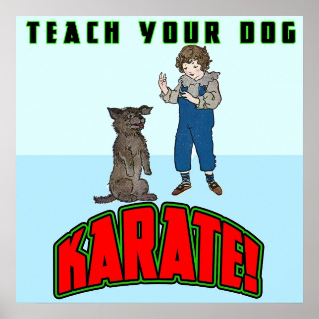 Poster de Dog Karate 2 (Devant)