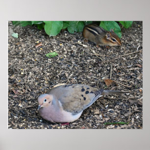Poster de Dove et Chipmunk en deuil