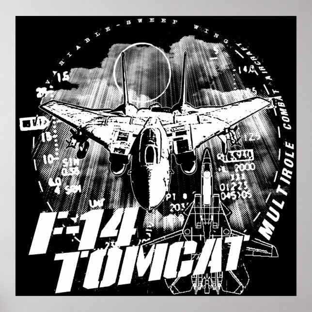 Poster de F-14 Tomcat (Devant)